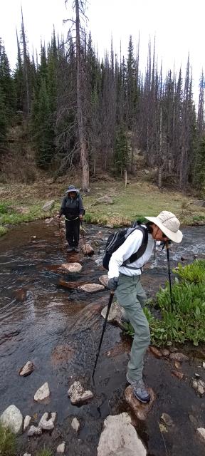 Creek Crossings