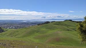 From the top