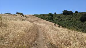 Soaring Eagle Trail