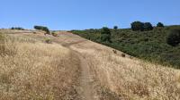 Soaring Eagle Trail