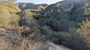 Rattlesnake Canyon