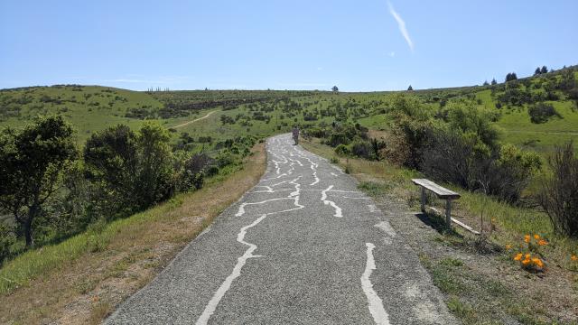 Trail View