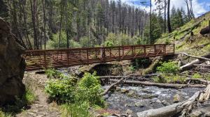Bridge