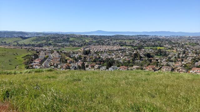 Mount Tam