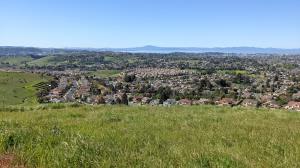 Mount Tam