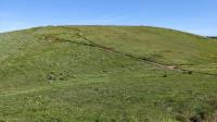 Open terrain