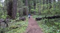 Trail View