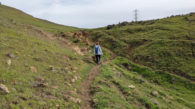 Undulating terrain
