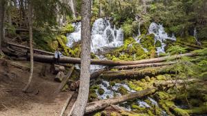 Clearwater Falls