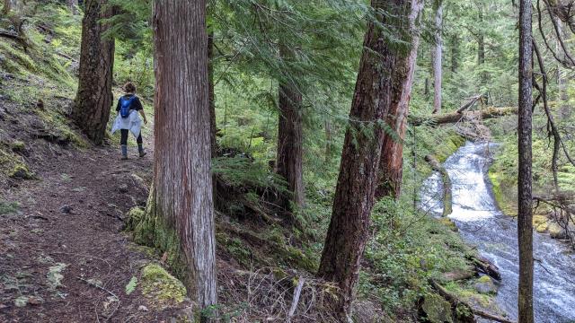 Passing Middle Hemlock Falls