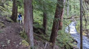 Passing Middle Hemlock Falls