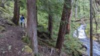 Passing Middle Hemlock Falls