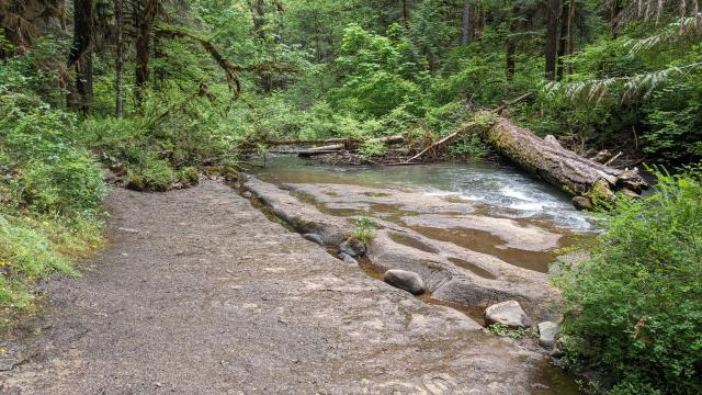 Vernal Pools
