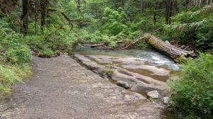 Vernal Pools