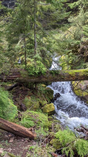 More of Clover Falls