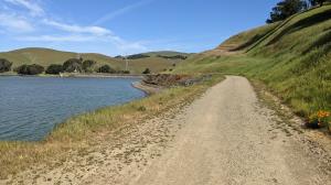 Lakeshore