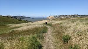 Carquinez Bridge