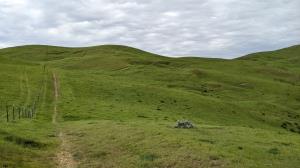 Rolling terrain