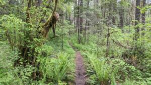 Trail View