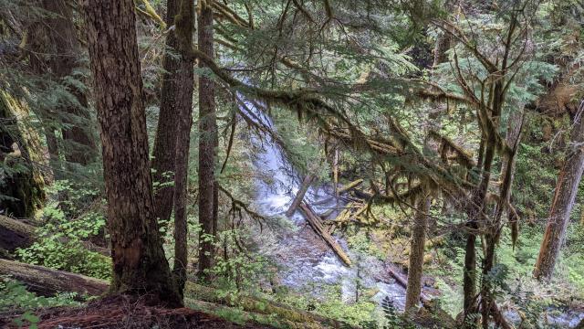 Hemlock Falls