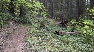 Coppertone leads the way