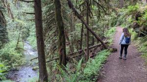 Trail and Wolf Creek