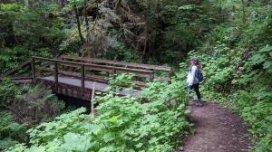 Bridges