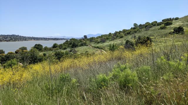 Benicia Bay Trail