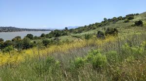 Benicia Bay Trail