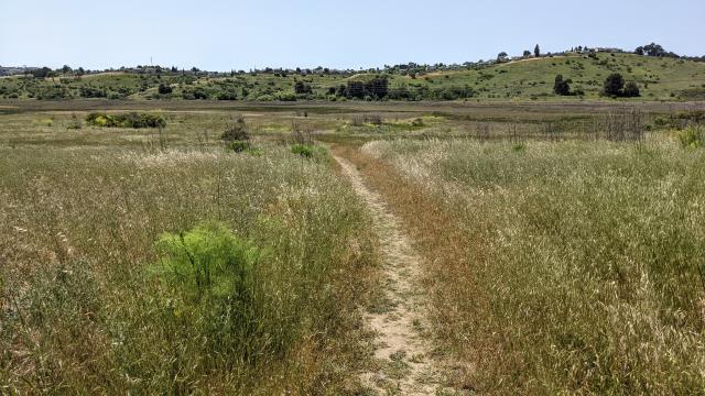 Wetlands Trail