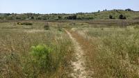 Wetlands Trail