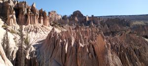 Wheeler Geologic Area