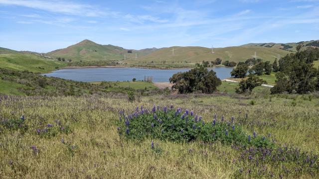 Lake from the high trail