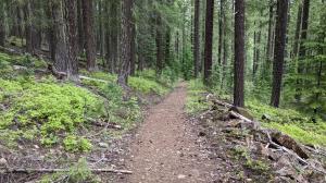 Trail View