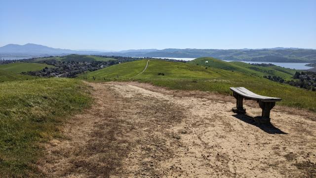 Doris Klein's Bench
