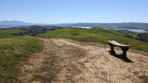 Doris Klein's Bench