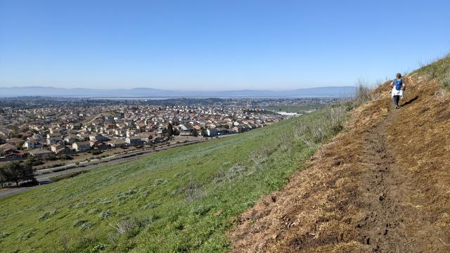 Trail View