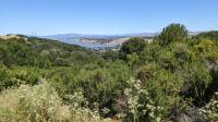 Carquinez Bridge