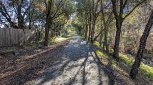 Trail View