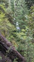 Clover Falls