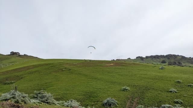 Paragliding