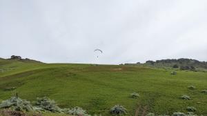 Paragliding