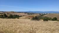 Mount Tam