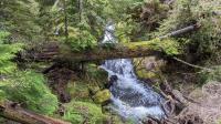Clover Falls