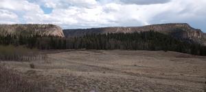 View from the trail