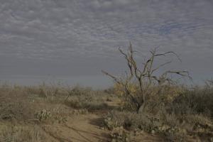 A Portion of Turkey Creek Trail