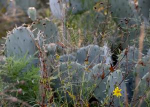LOTS of Spiders Were Out