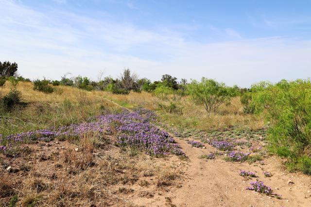 Red Dam Loop Trail