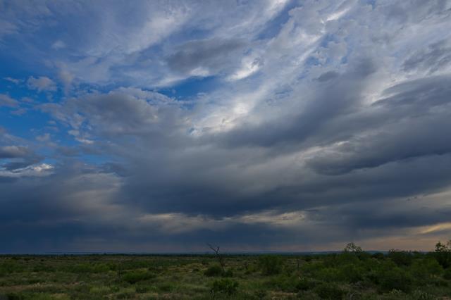 A Storm in the Distance