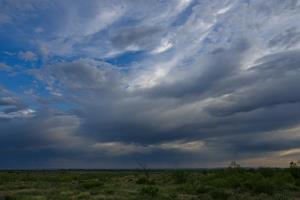 A Storm in the Distance